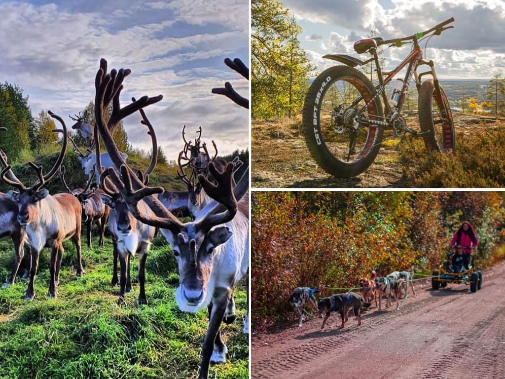 Activités été Rovaniemi