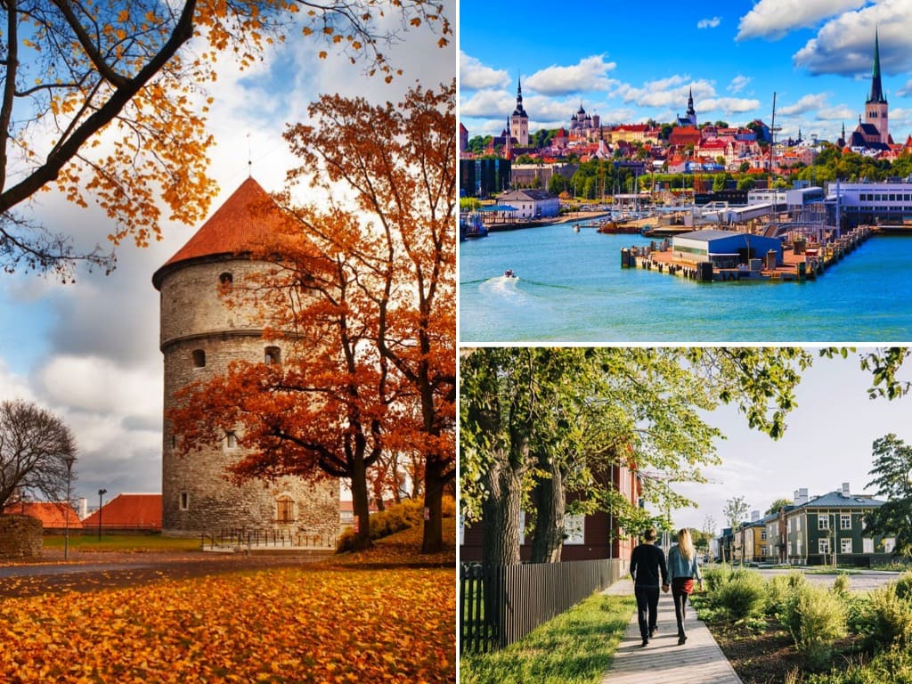 Tallinn saisons