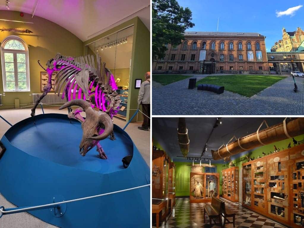 Musée d'Histoire Lund