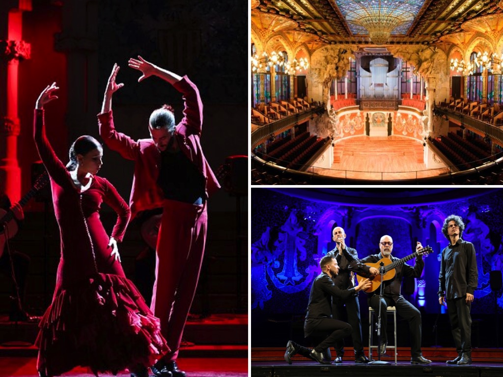 Flamenco guitar show