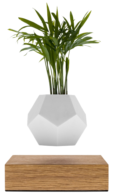 Plante flottante