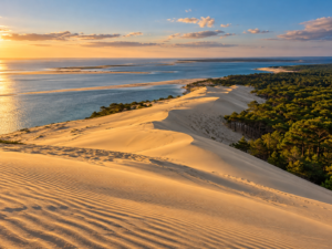 Dune du Pilat à l’heure dorée-9