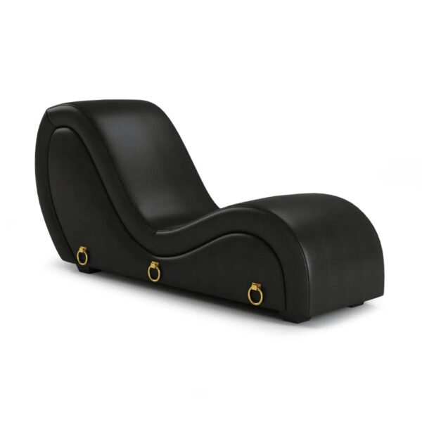 Fauteuil tantra noir avec anneaux
